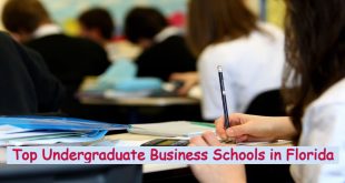 Top Undergraduate Business Schools in Florida