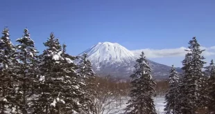 How To Get From Chitose Airport To Niseko
