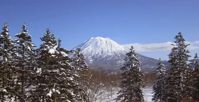 How To Get From Chitose Airport To Niseko